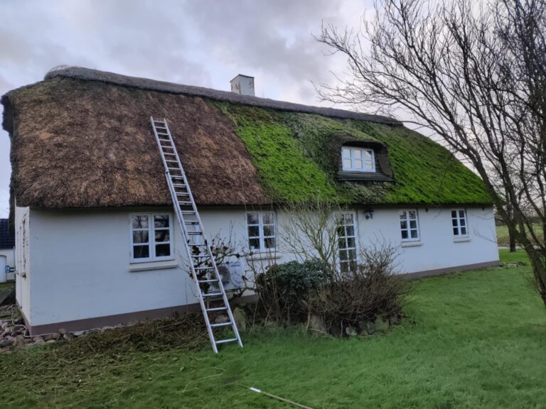 1b3fd733-57b9-495b-9857-261ba54fe1eb