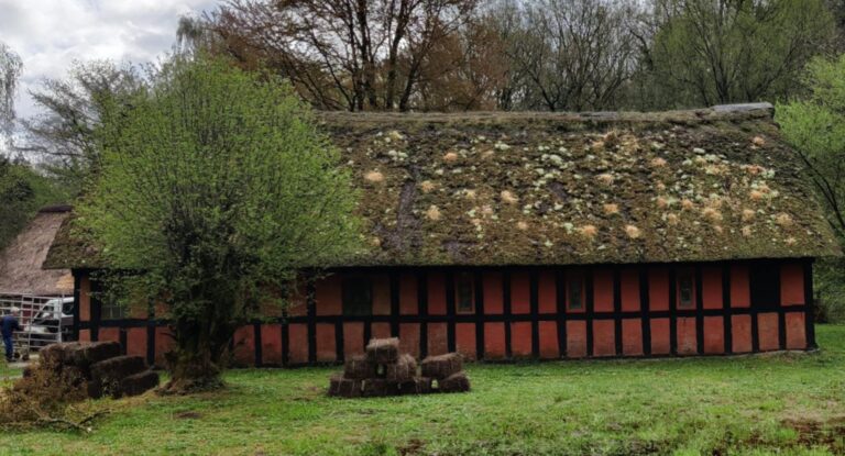 40a1b528-3890-45d5-bc4a-8267bc4b843c